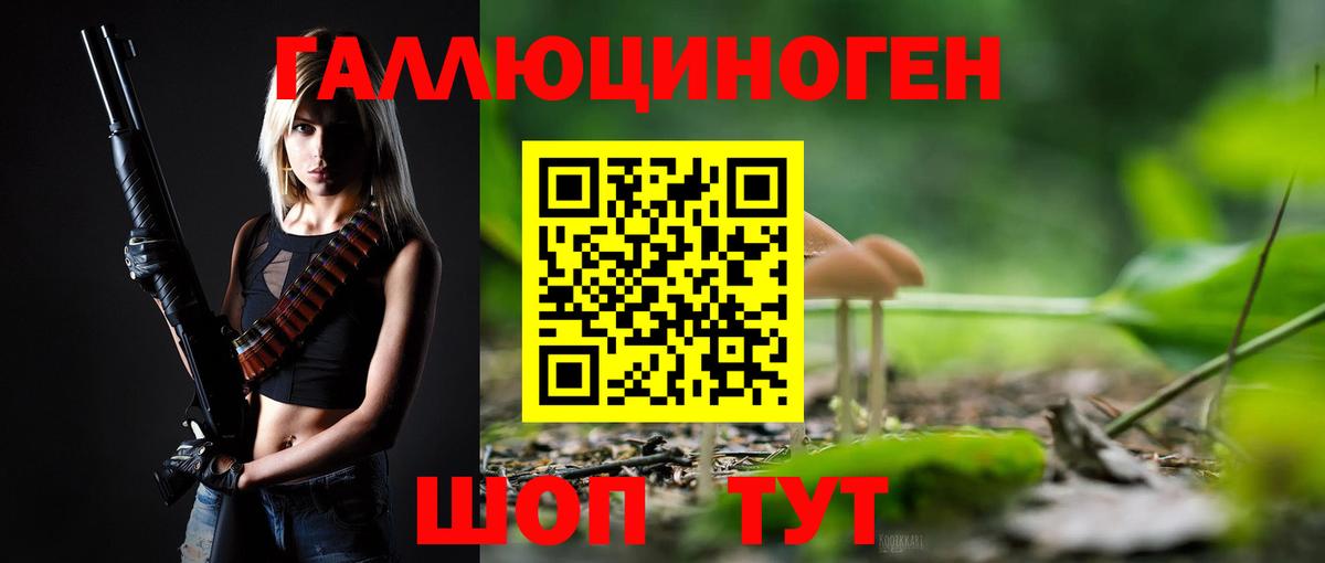 Псилоцибиновые грибы GOLDEN TEACHER Белово